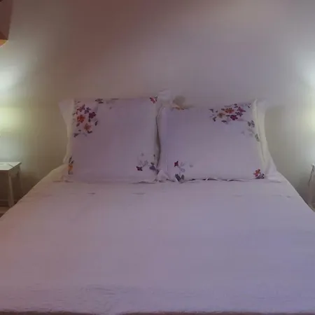 Casa Amarela Guest house Coimbra