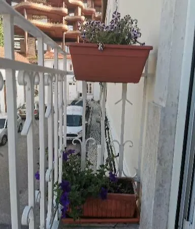 Pensión Casa Amarela Coímbra